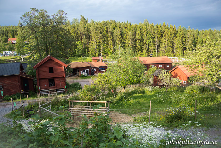 midsommarafton